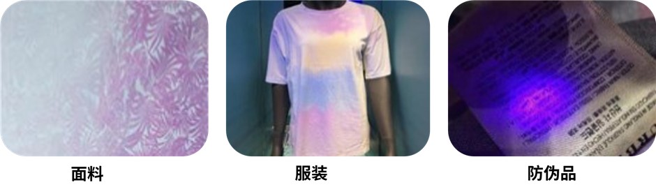 圖片 (6).png